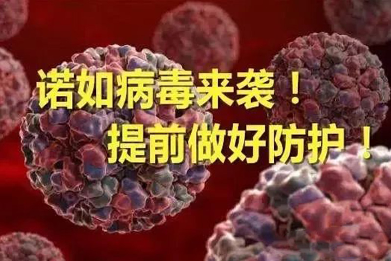 小心！諾如病毒感染性胃腸炎高發季節來啦！